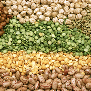 Pulse Crops