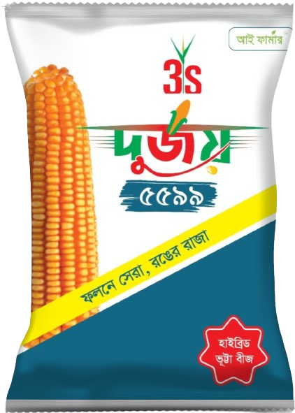 Hybrid Maize Seed - Durjoy 5599