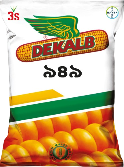 Hybrid Maize Seed - Dekalb 949