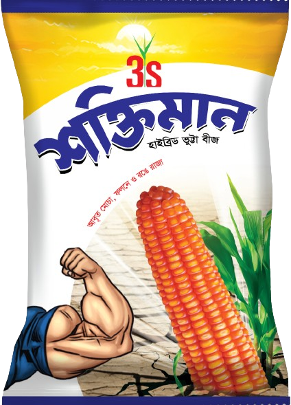 Hybrid Maize Seed - Shaktiman