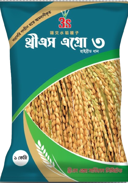 Hybrid Rice Seed – 3s Agro 3