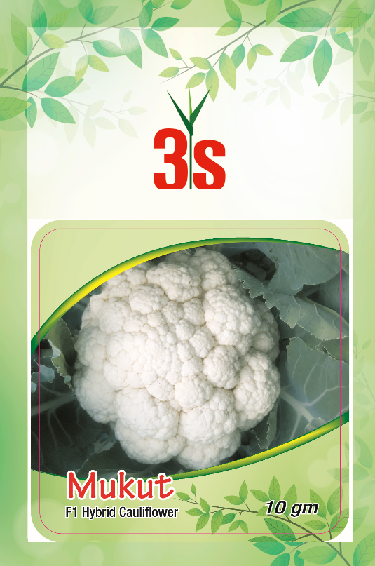 Hybrid Cauliflower Seed - Mukut