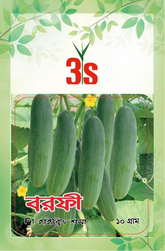 Hybrid Cucumber Seed - Barfi