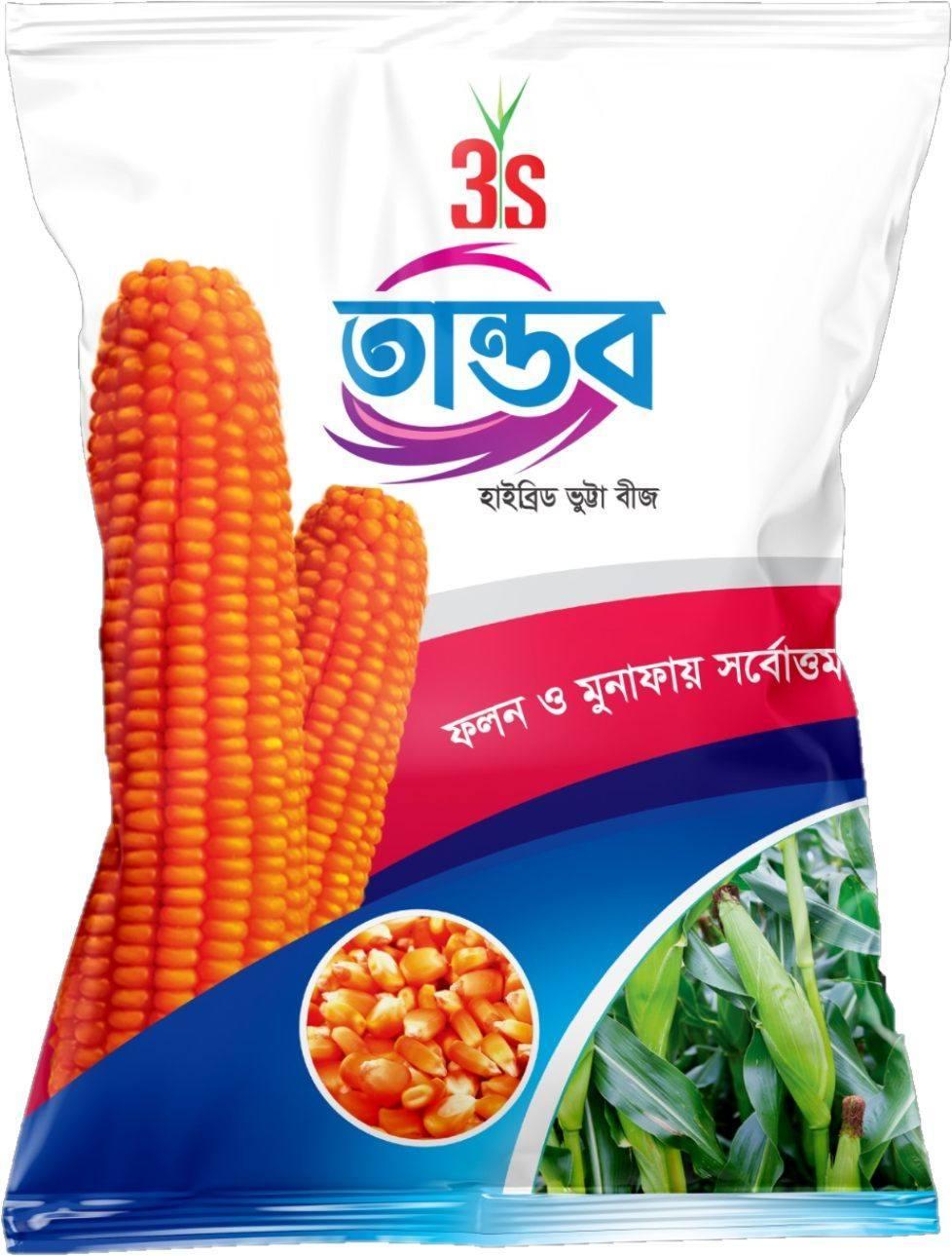 Hybrid Maize Seed – Tandob (Durjoy 5590)