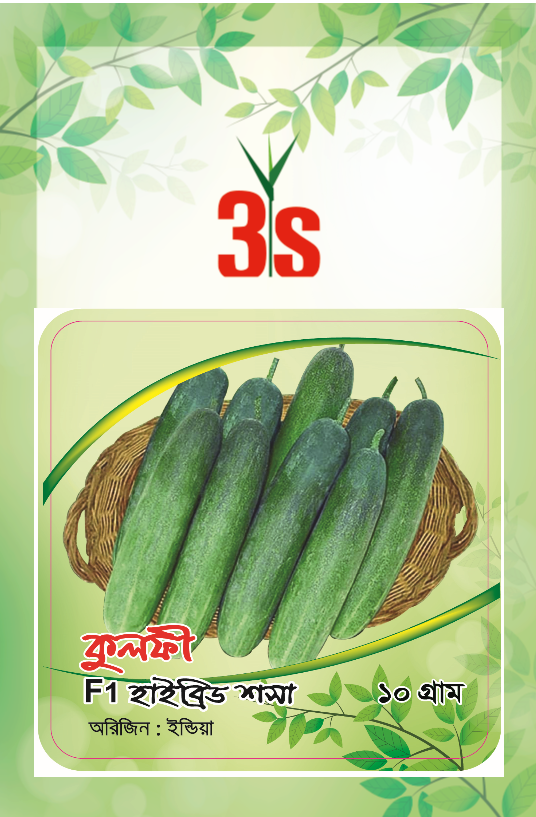 Hybrid Cucumber Seed - Kulfi