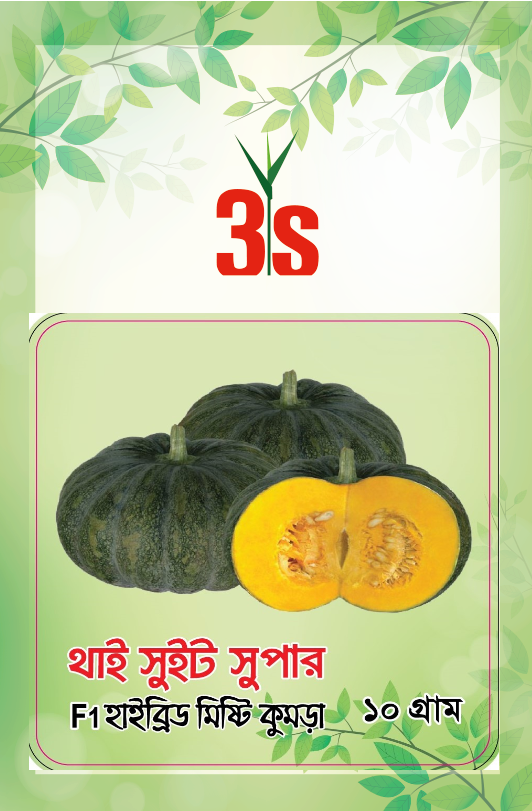 Hybrid Pumpkin Seed - Thai Sweet Super