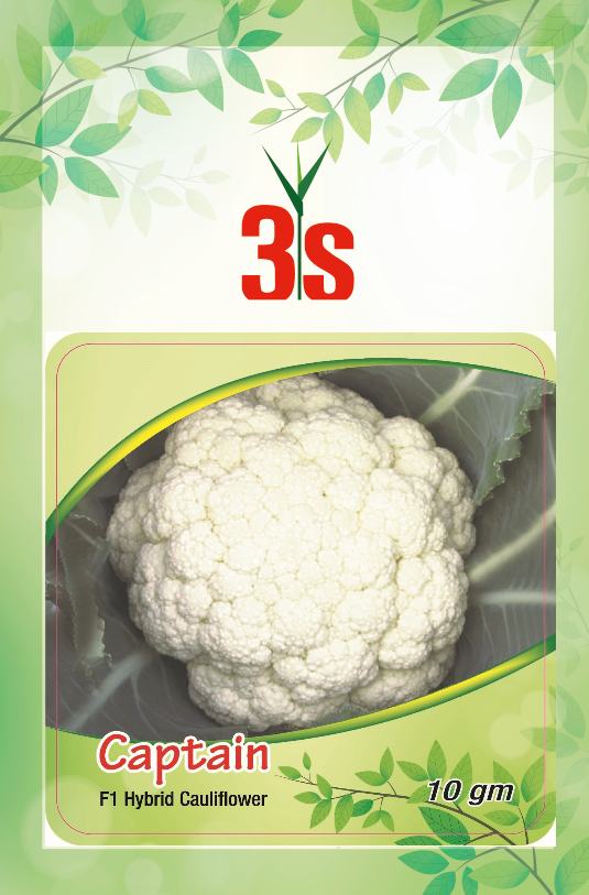 Hybrid Cauliflower Seed - Captain